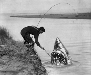 Illustration for article titled Tall Tale Fishing Postcards, The Ultimate Humblebrag Of The Early 1900s